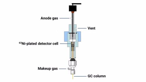آشکارساز ECD